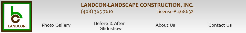 Picture of a completed landscape including pavers, deck, arbor, sod lawn, and plants